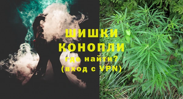 гидра Протвино