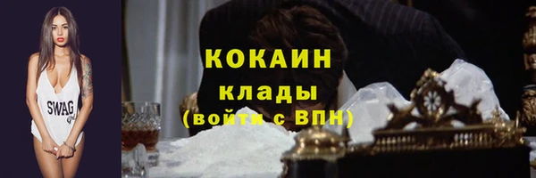 гидра Протвино