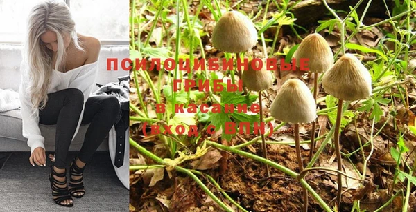 гидра Губаха