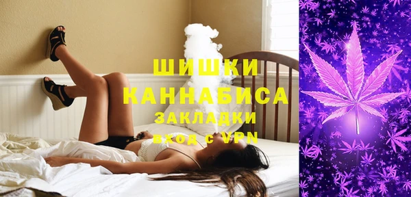 гидра Протвино