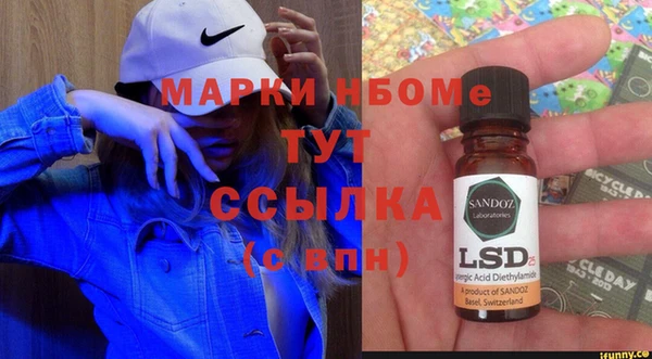прущие грибы Пролетарск